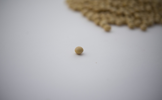 soybean_0051.jpg