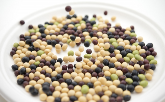 soybean_0054.jpg