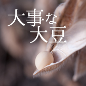 大豆問屋の大事な大豆
