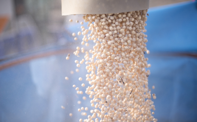 soybean_0027.jpg