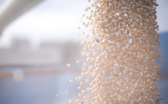 soybean_0028.jpg