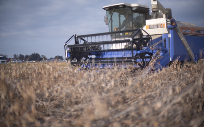 soybean_0035.jpg