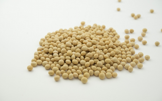 soybean_0048.jpg