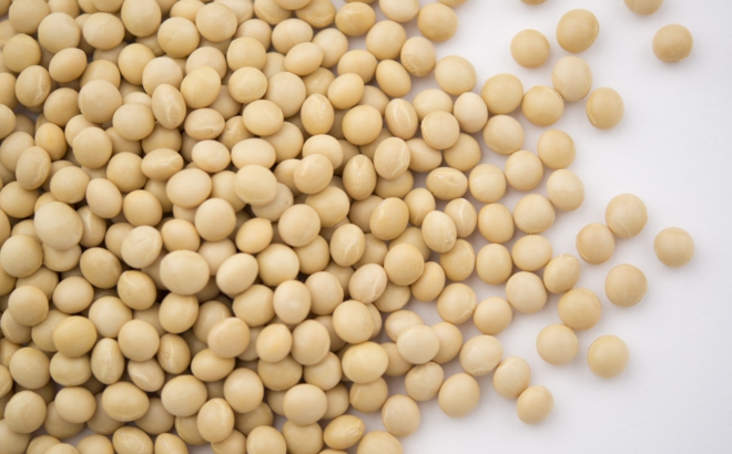 soybean_0050.jpg