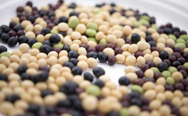 soybean_0053.jpg