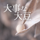 大豆問屋の大事な大豆