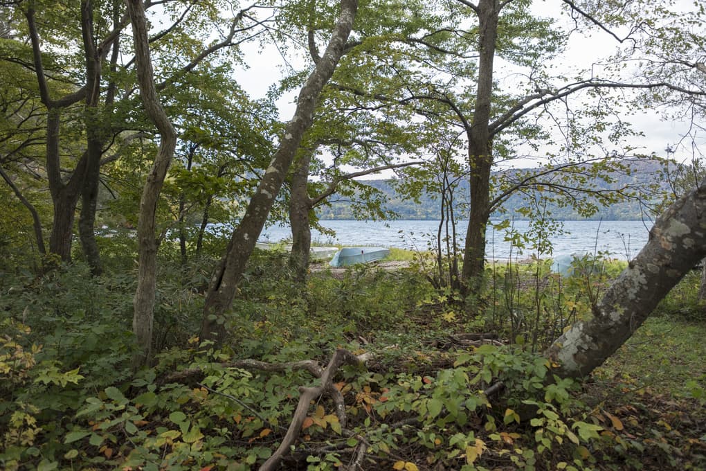 dscf4060.jpg
